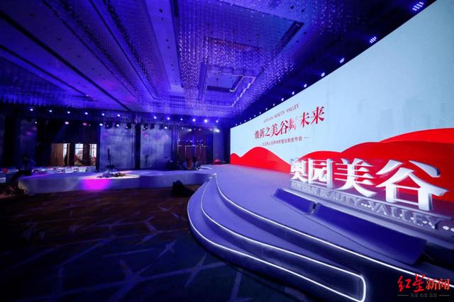 奥园美谷(奥园美谷最新消息)